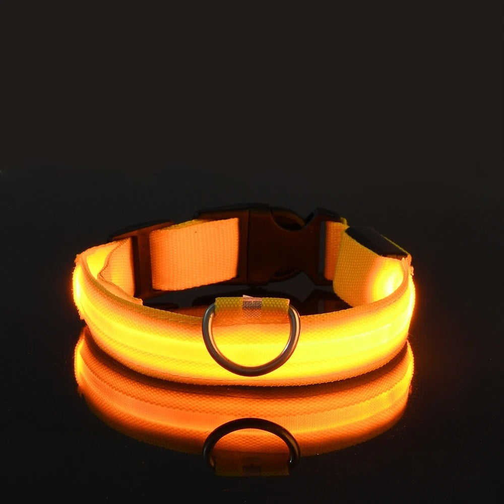 Nylon LED Night Safety Collar