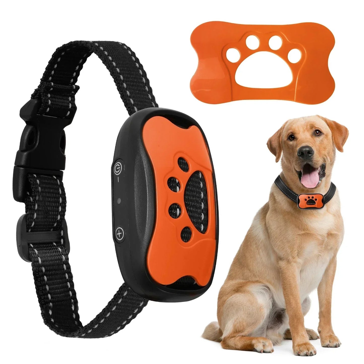 Anti Bark Collar