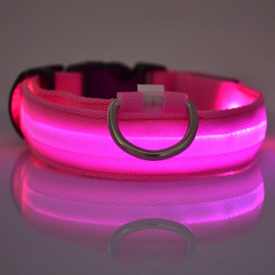 Nylon LED Night Safety Collar