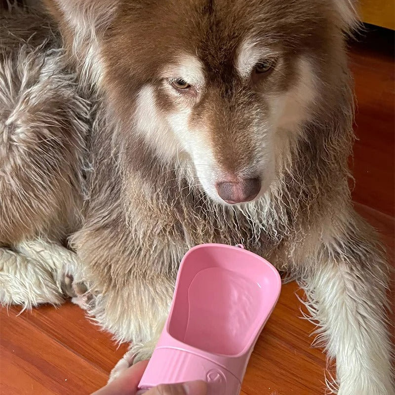 Portable Pet Water Bottle With Food Container