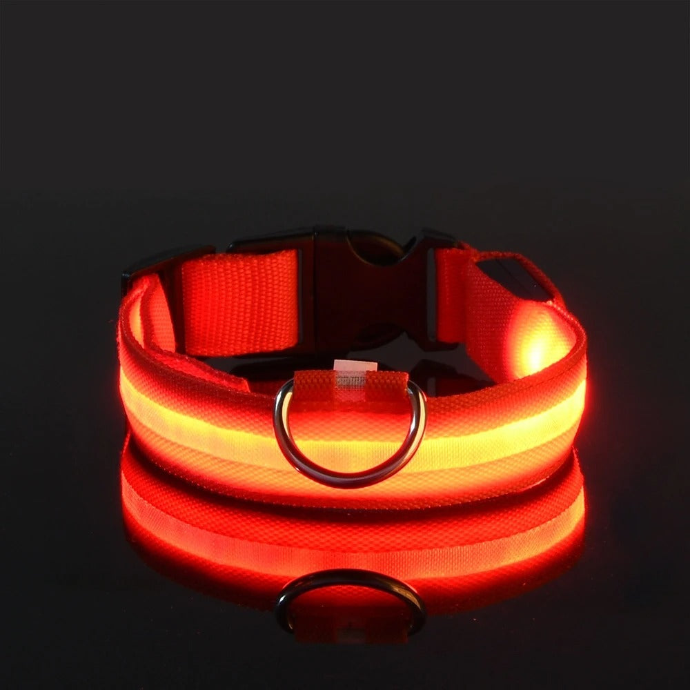 Nylon LED Night Safety Collar