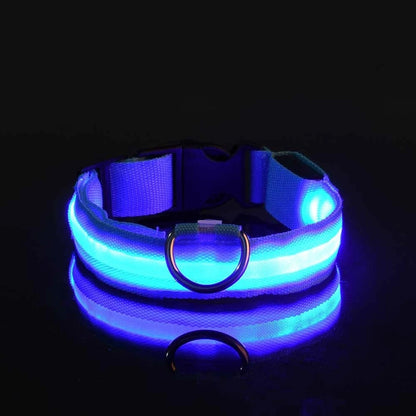 Nylon LED Night Safety Collar