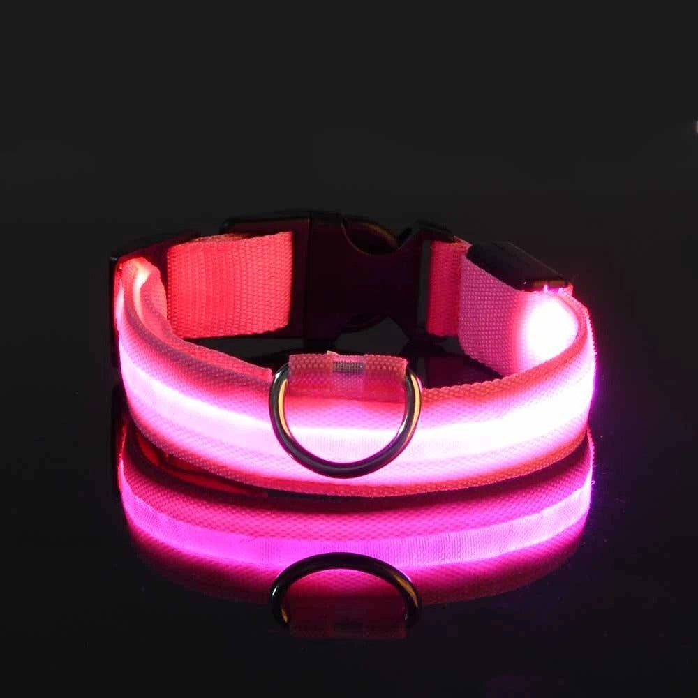 Nylon LED Night Safety Collar