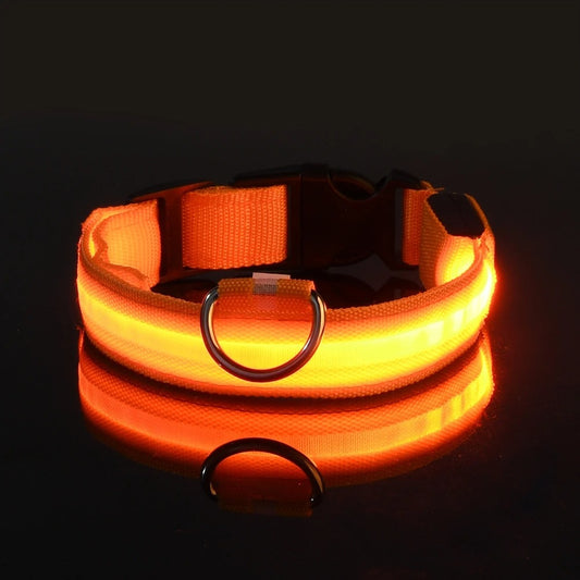 Nylon LED Night Safety Collar