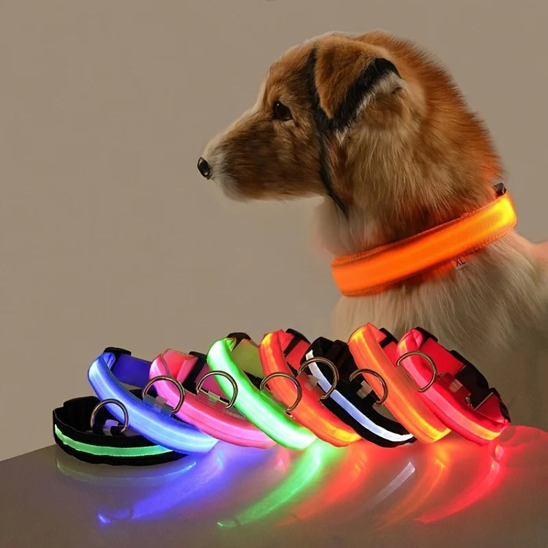 Nylon LED Night Safety Collar