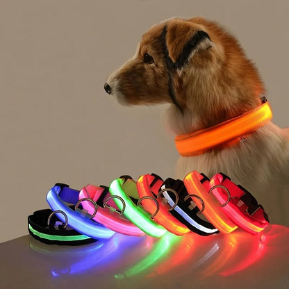 Nylon LED Night Safety Collar