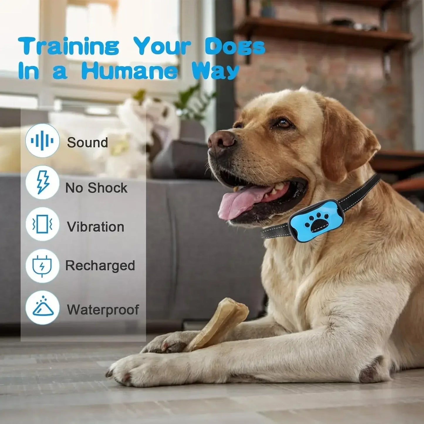 Anti Bark Collar