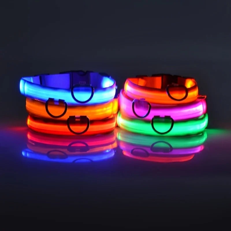 Nylon LED Night Safety Collar