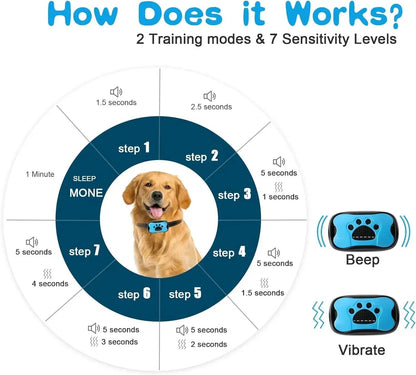 Anti Bark Collar