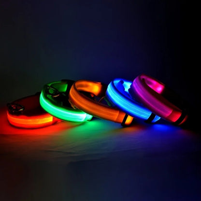 Nylon LED Night Safety Collar