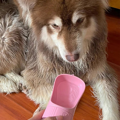 Portable Pet Water Bottle With Food Container