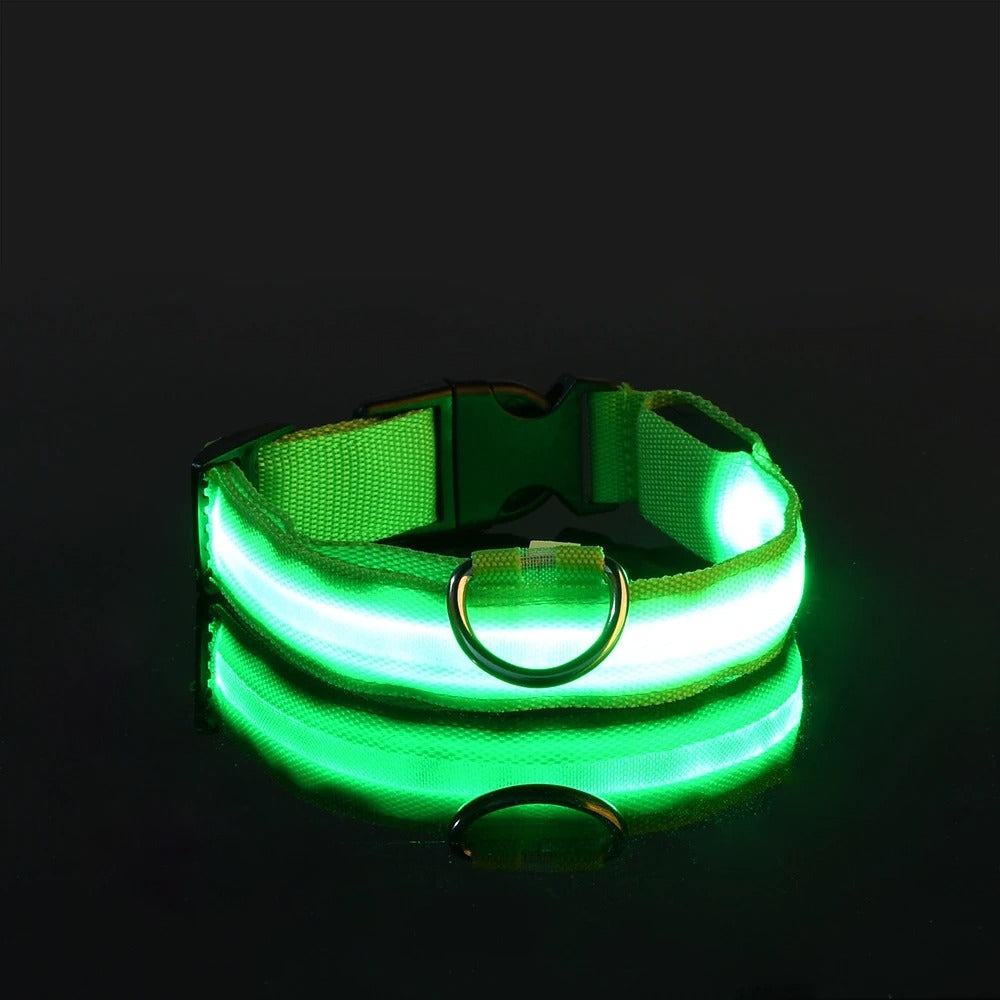 Nylon LED Night Safety Collar
