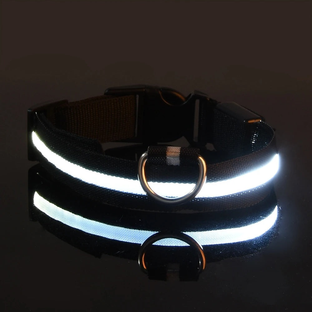 Nylon LED Night Safety Collar